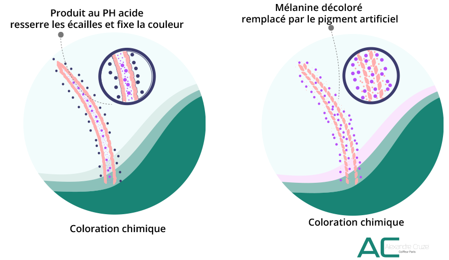 Illustration danger de la coloration chimique